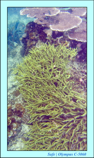 2008 - 07 - Perhentian - 045